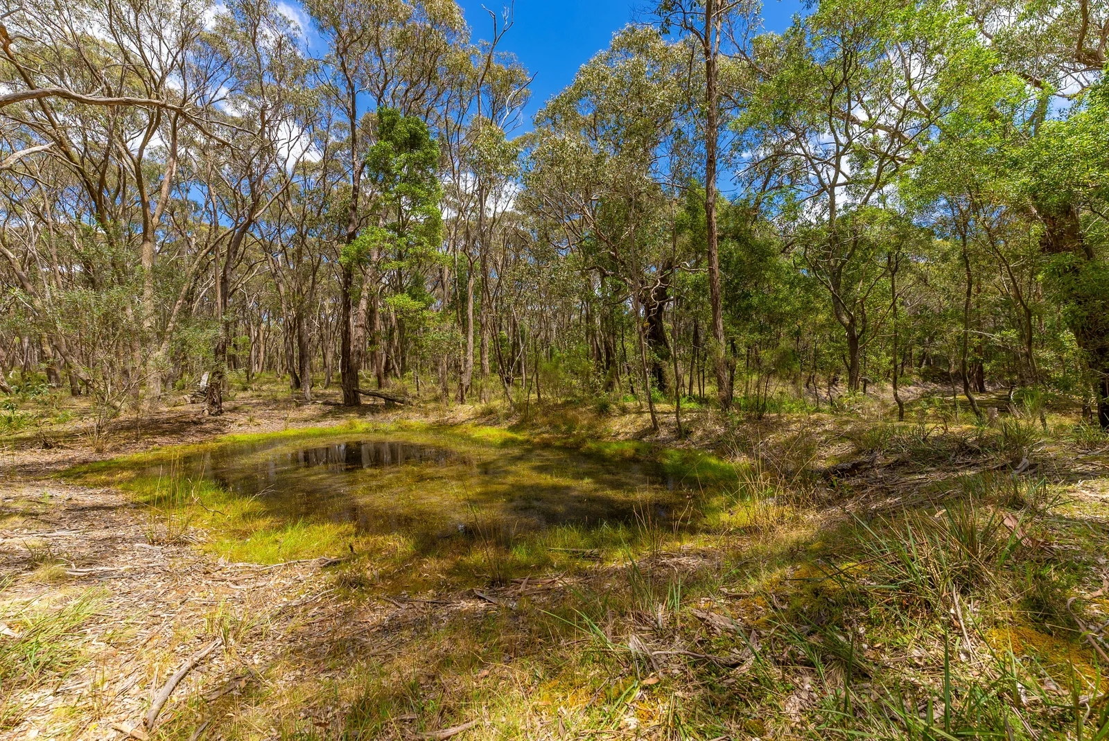 Additional image 9 of Lot 5 Hardies Road, Garibaldi VIC 3352