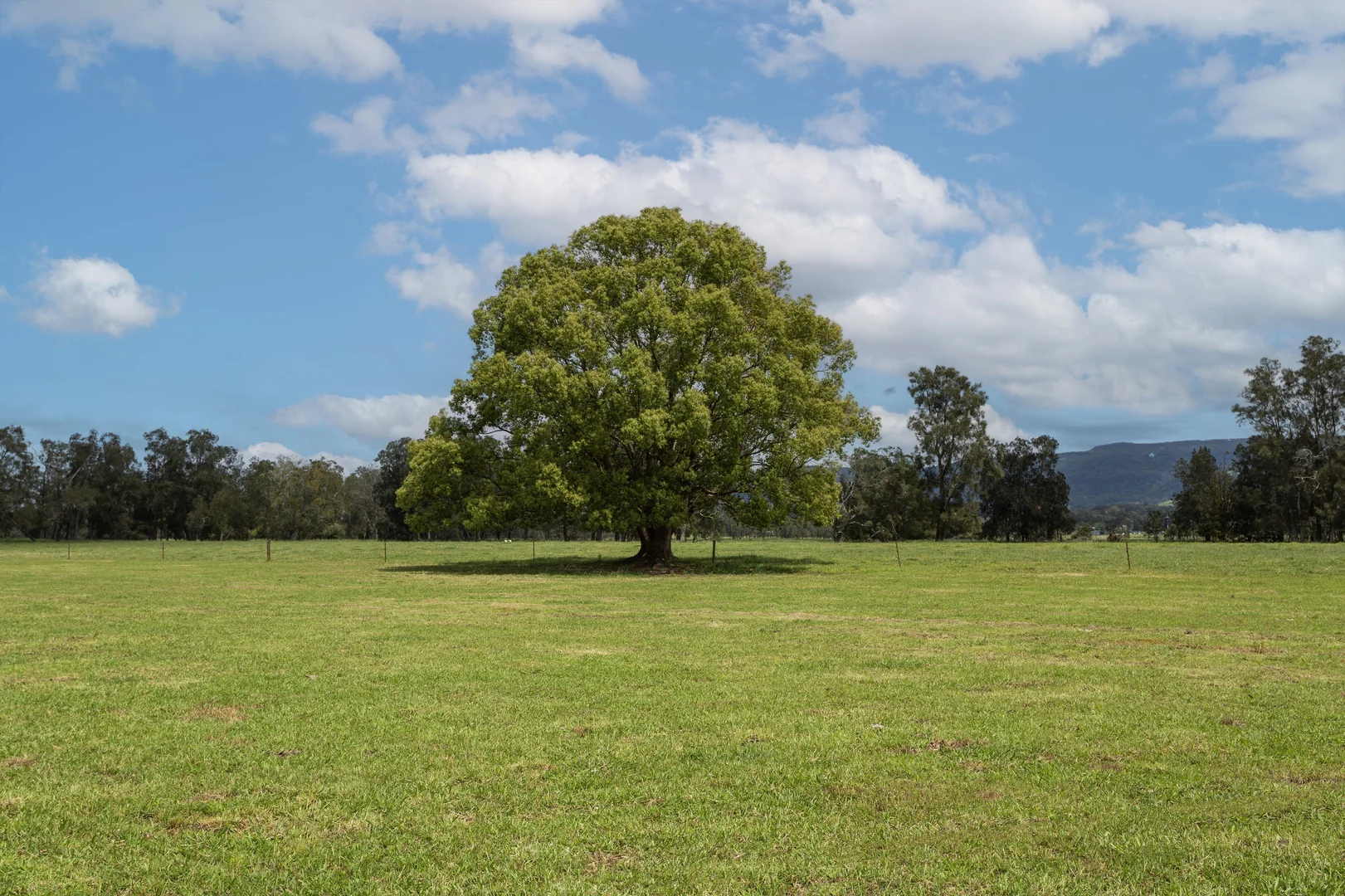 Additional image 15 of 639E coolangatta road, Berry NSW 2535