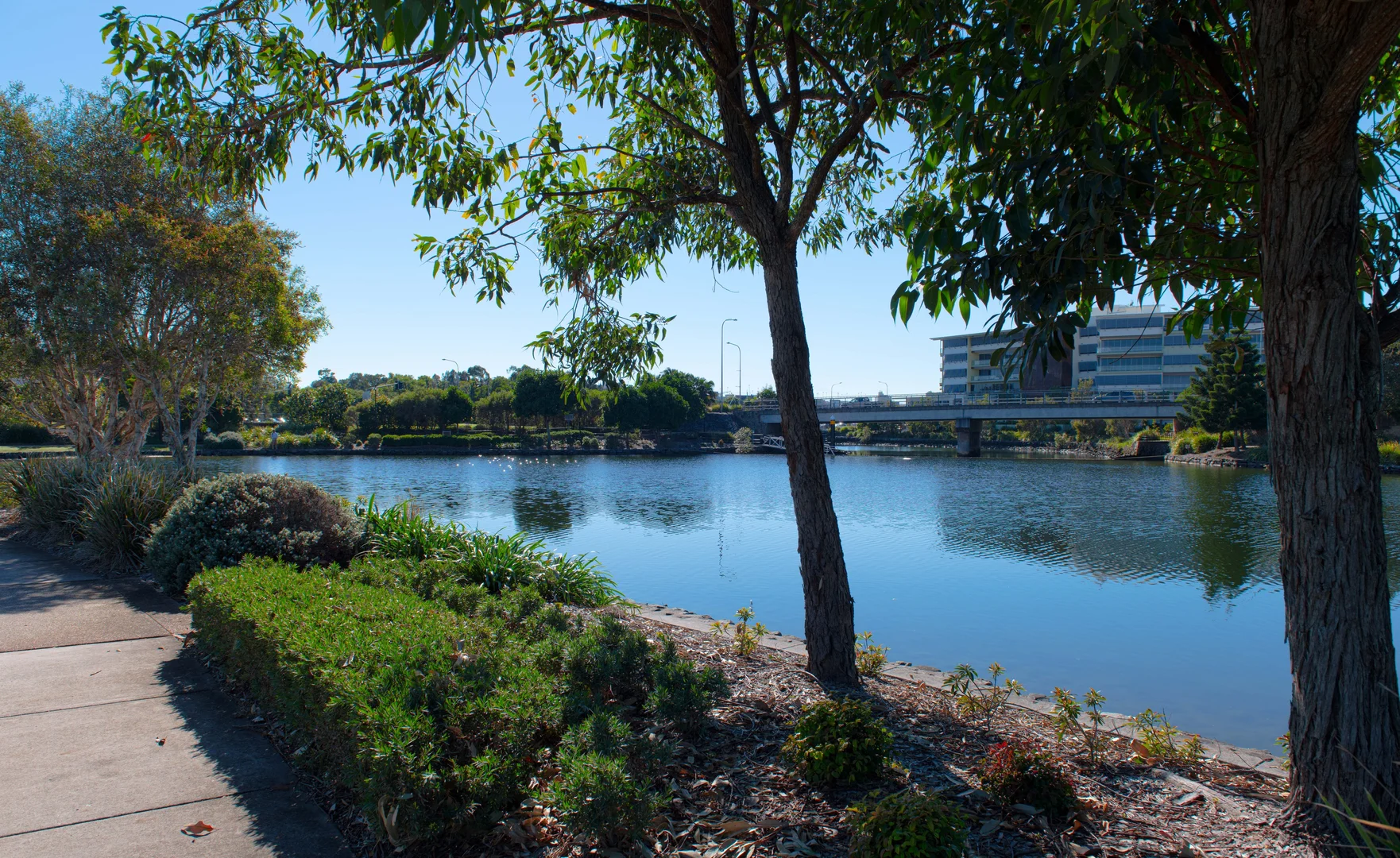 Additional image 6 of 16 Discovery Place, Maroochydore QLD 4558