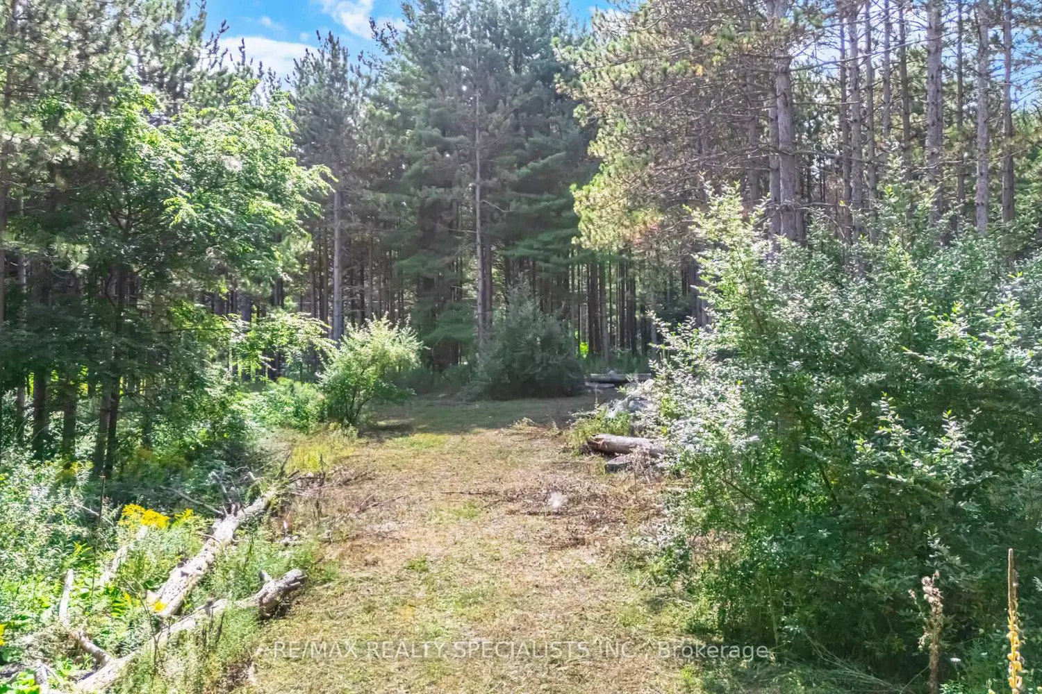 Additional image 19 of 18711 The Gore Road