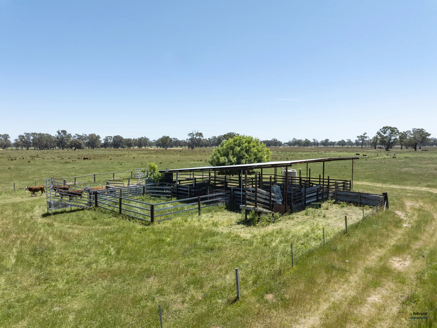 Additional image 5 of 12 Knight Road, Benalla VIC 3672