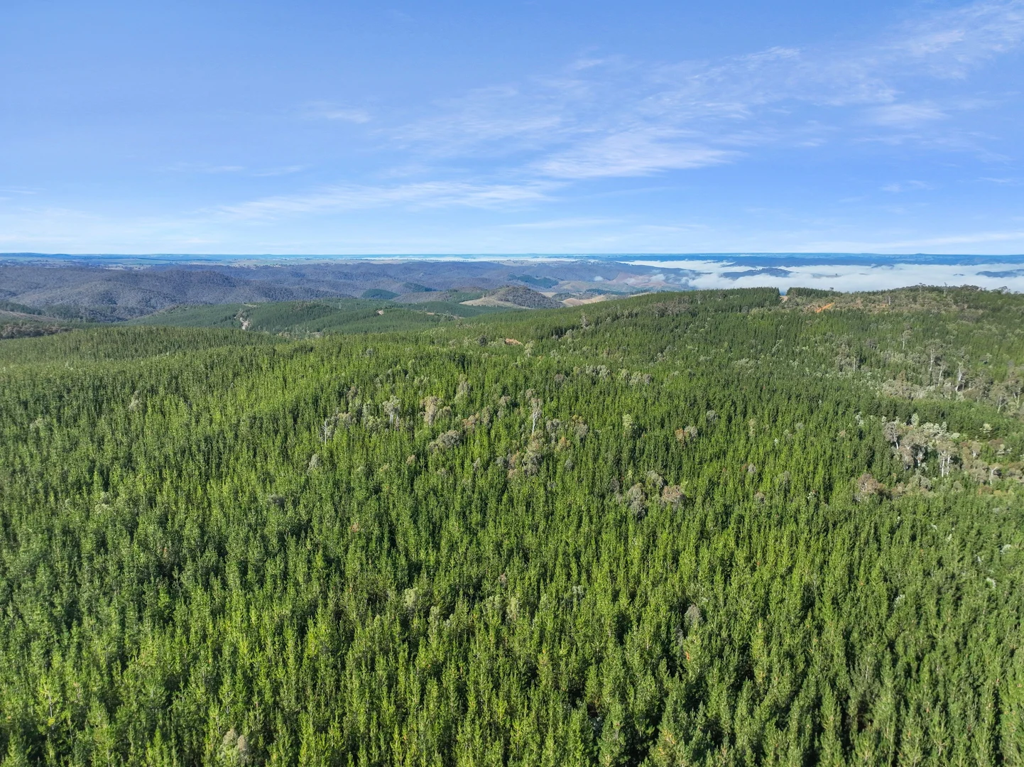 Additional image 11 of 3653 Arkstone Road, Burraga NSW 2795