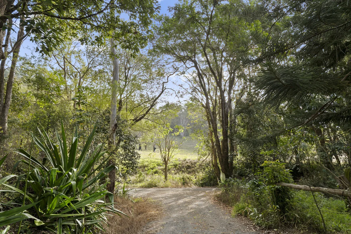 Additional image 15 of 536 Cudgera Creek Road, Cudgera Creek NSW 2484