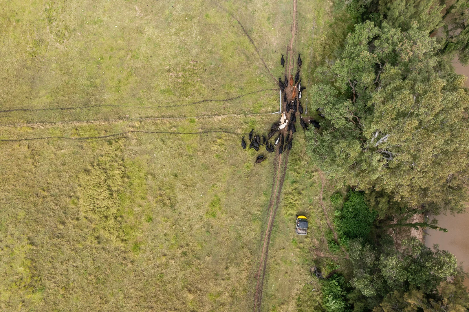 Additional image 9 of 771 Ewingar Road, Ewingar NSW 2469