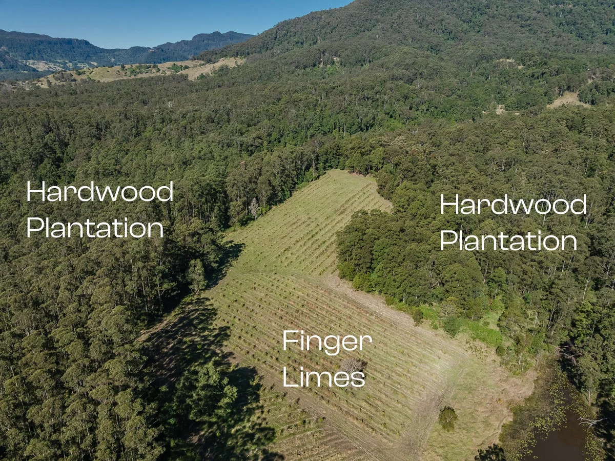 Additional image 29 of 175 Midginbil Road, Midginbil NSW 2484