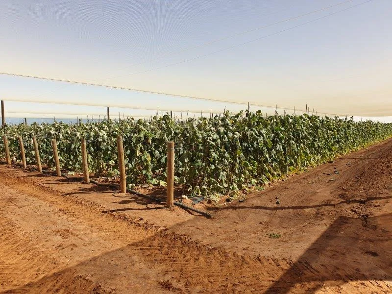 Additional image 11 of 138 North River Road, North Plantations WA 6701