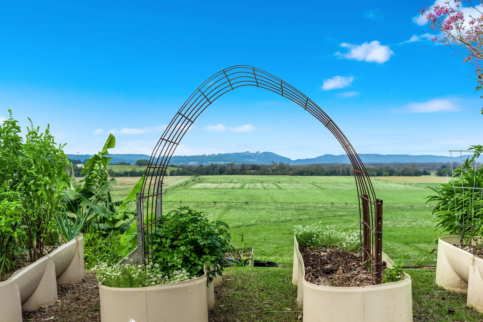 Additional image 60 of 1368 Wyrallah road, Tucki Tucki NSW 2480