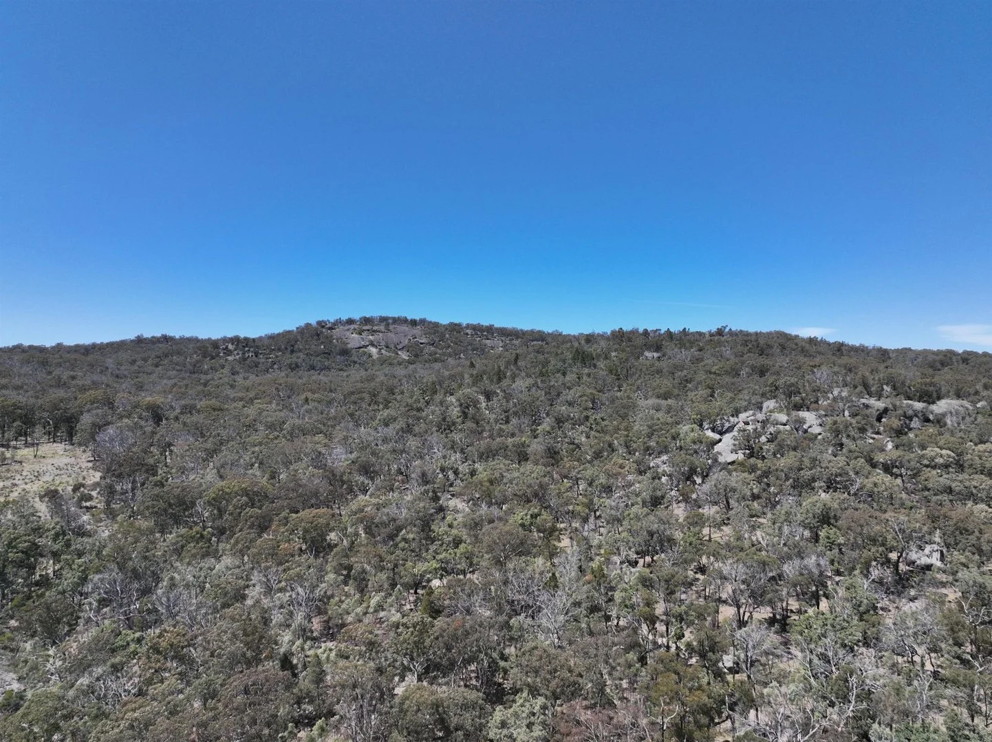 Lot 1 Brusharbers Road, Tenterfield NSW 2372