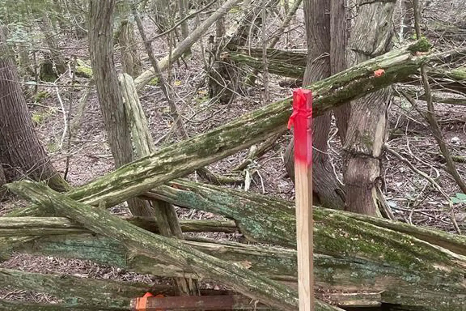Additional image 12 of 00 Adams-Cummings Road