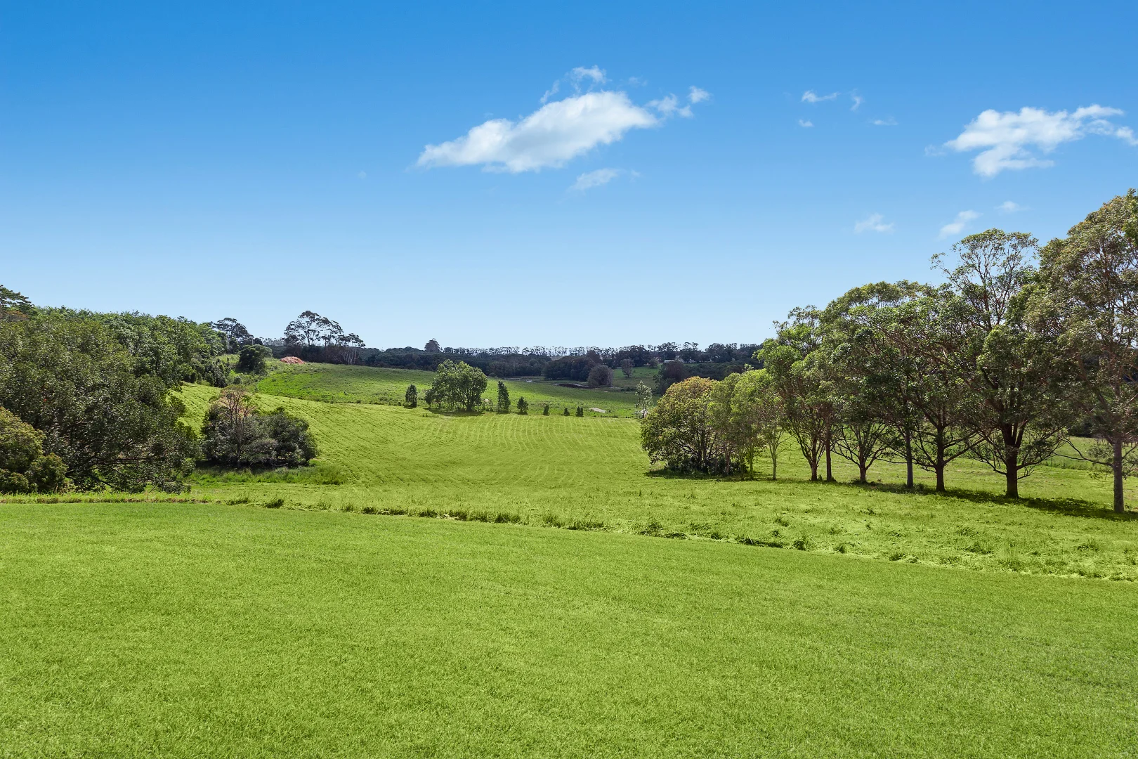 Additional image 12 of 74 Converys Lane, Wollongbar NSW 2477