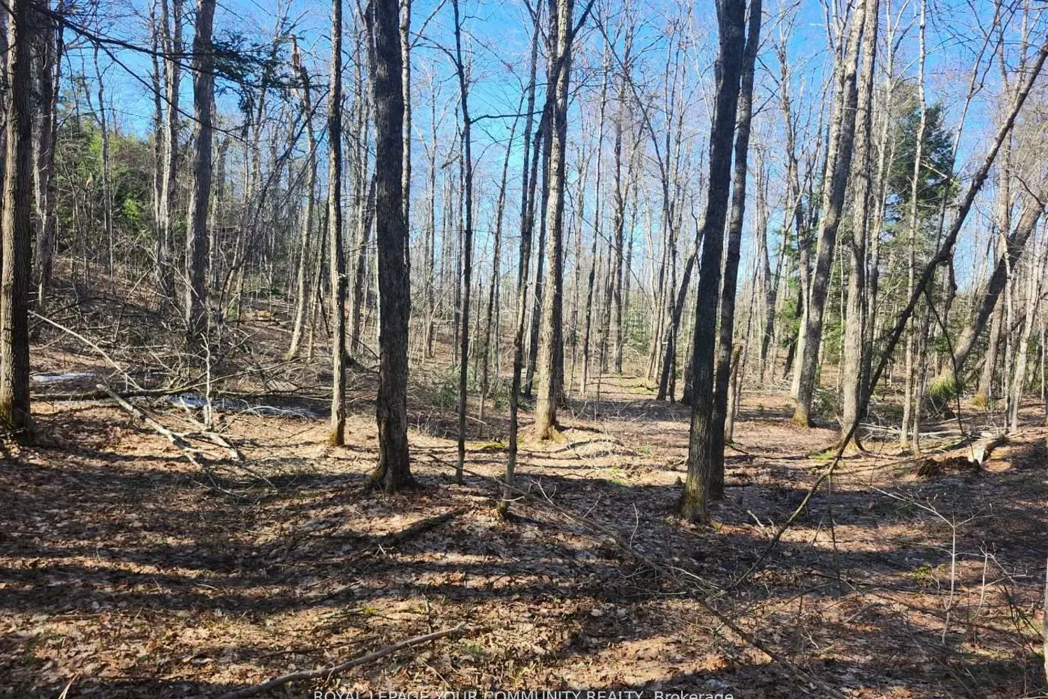 Additional image 4 of 1282 Highway 118 Road