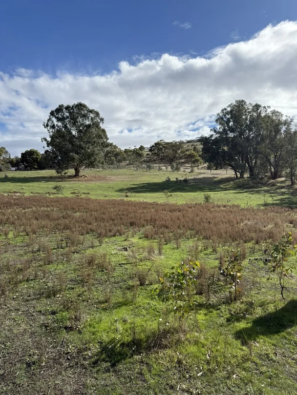 Additional image 18 of 1872 Spencers Brook Road, Mokine WA 6401