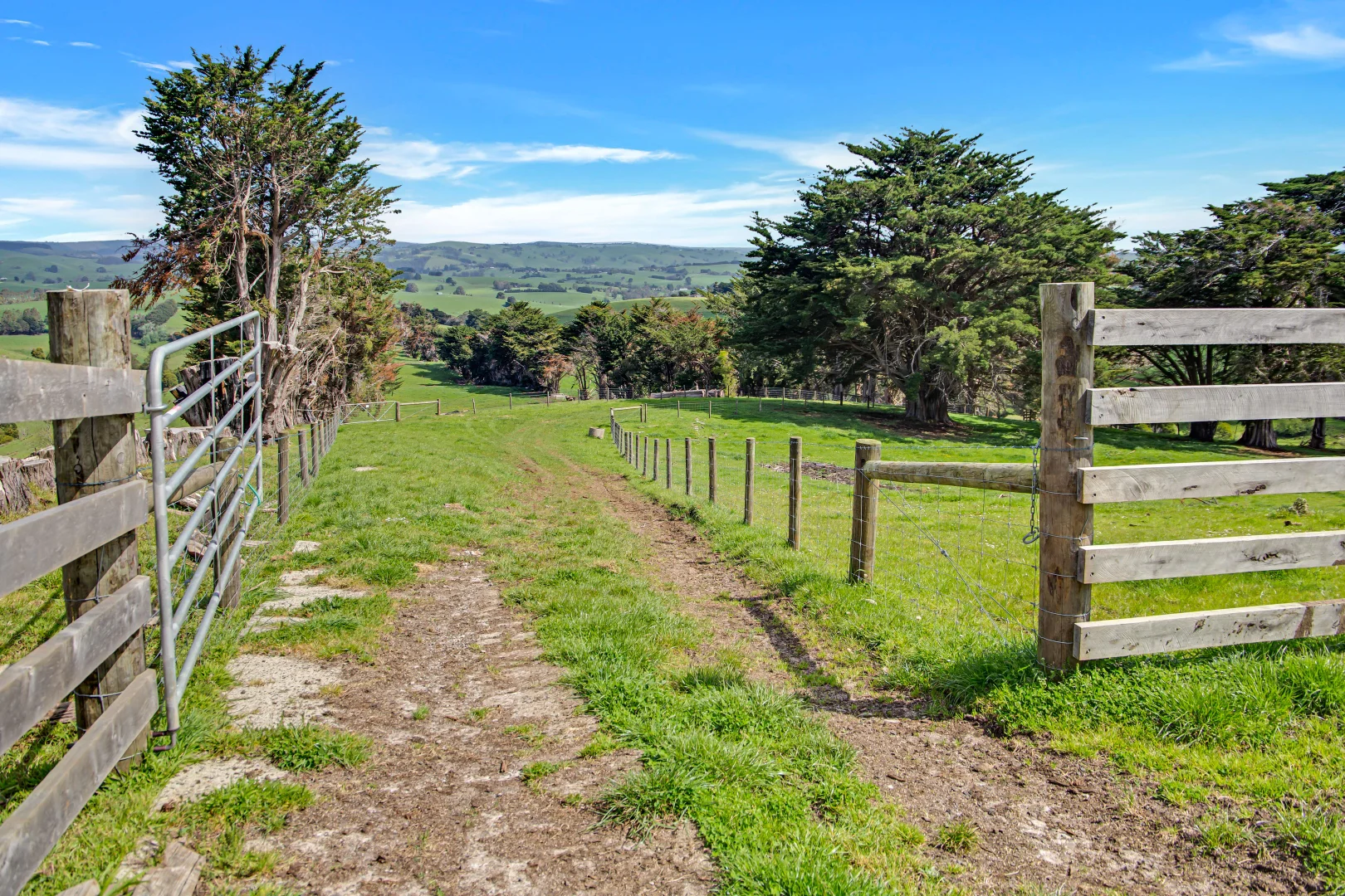 Additional image 11 of 1090 Boolarra South-Mirboo North Road, Mirboo VIC 3871