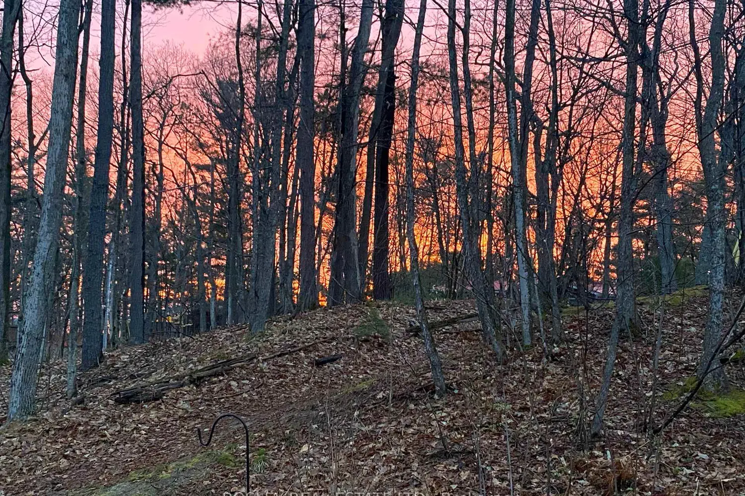 Additional image 19 of 1204 Tiny Beaches Road