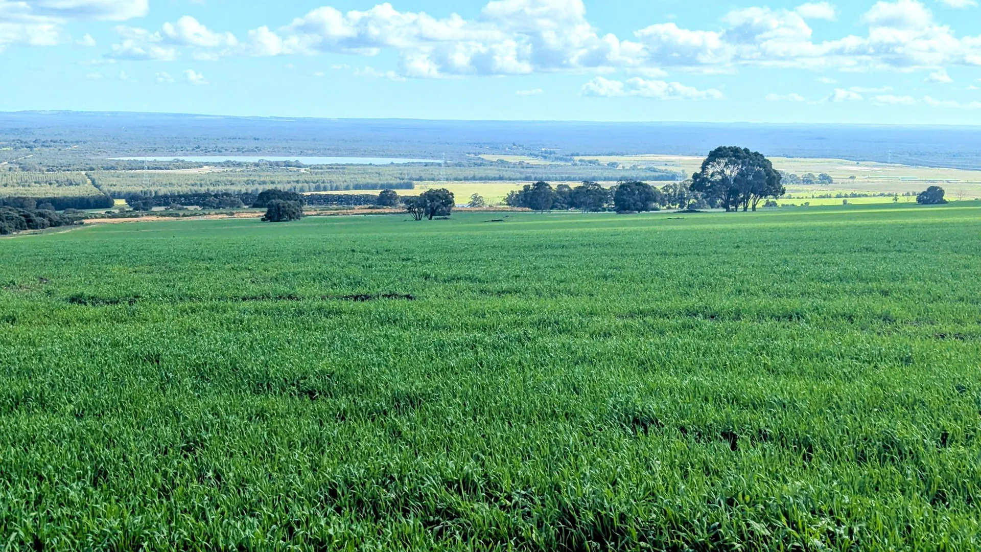 Additional image 5 of 5428 Brand Highway, Boonanarring, Gingin WA 6503