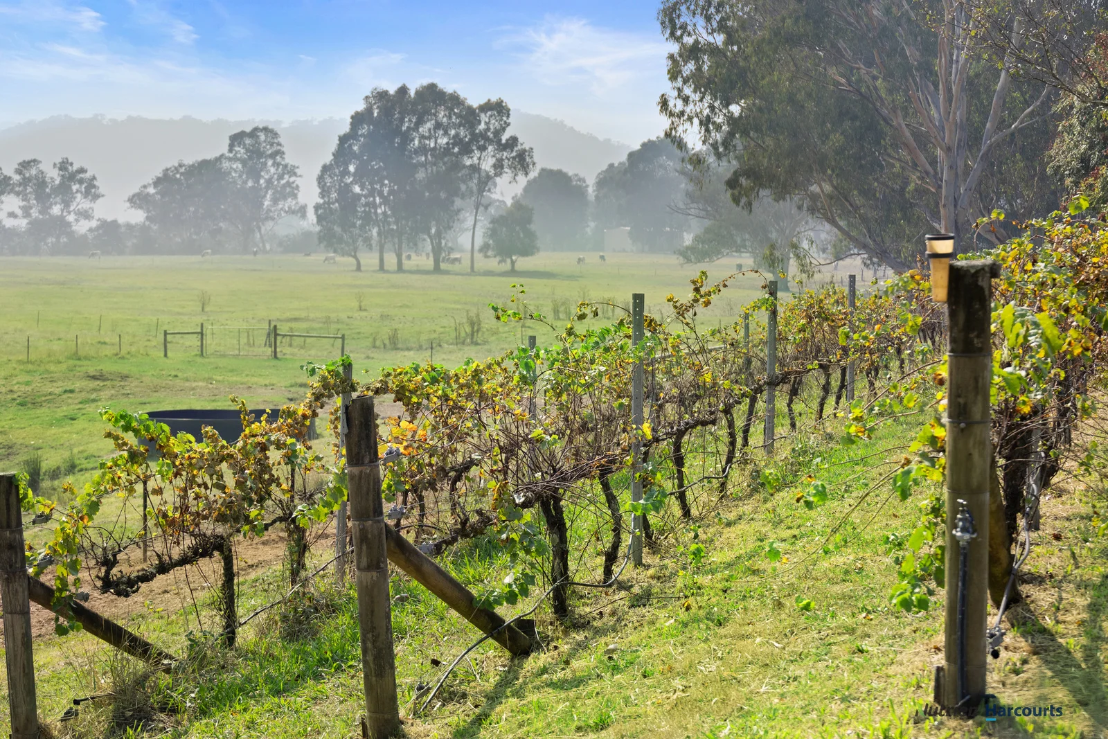 Additional image 20 of 614 Goulburn Valley Highway, Thornton VIC 3712