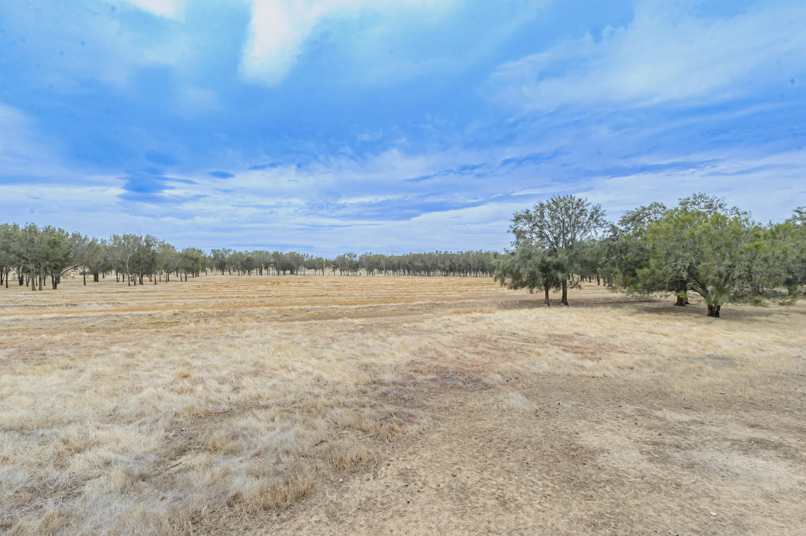 Additional image 31 of 188 Stock Road, Bullsbrook WA 6084