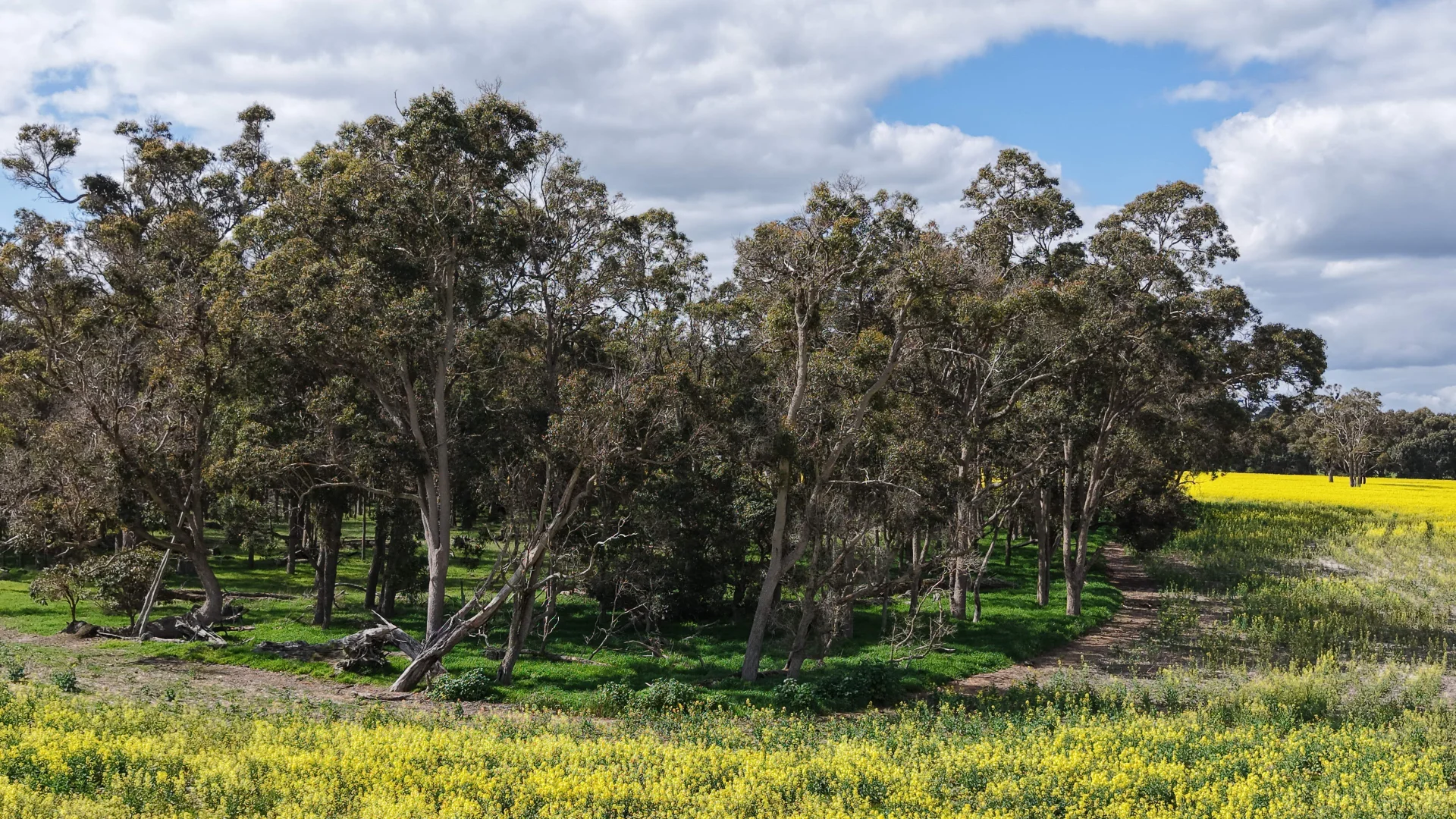 Additional image 16 of 171 Kwornicup Road, Forest Hill WA 6324