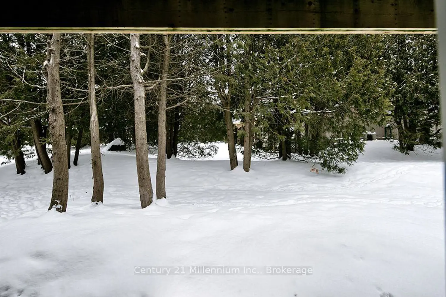 Additional image 12 of 479 Oxbow Crescent