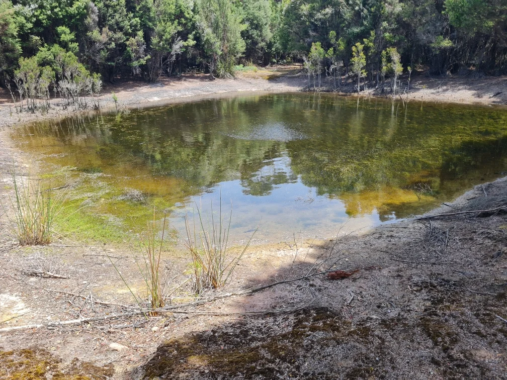 Additional image 5 of 1038 Pegarah Road, Naracoopa TAS 7256