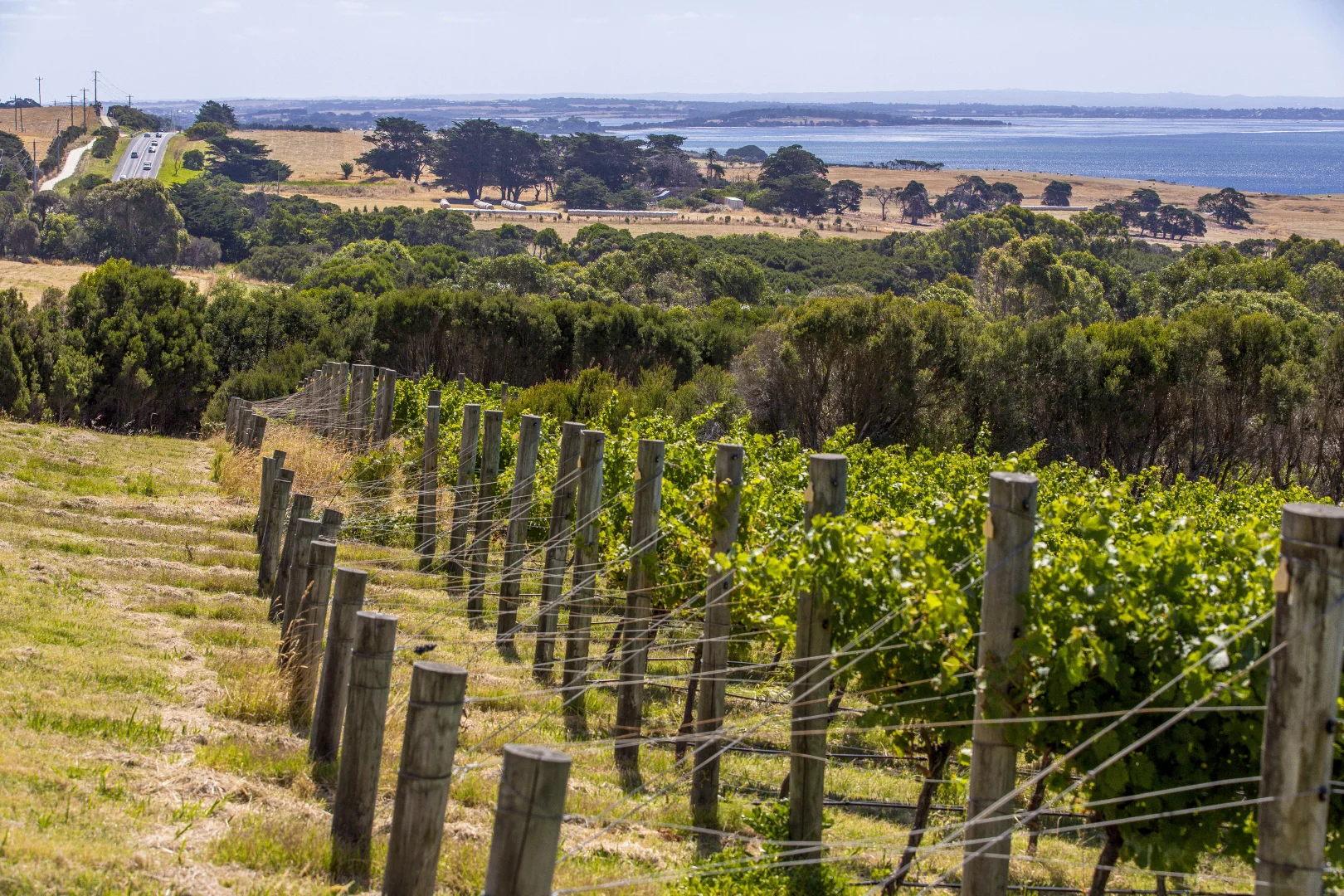 Additional image 29 of 215 Phillip Island Road, San Remo VIC 3925