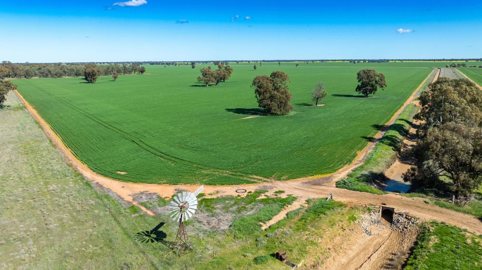 Additional image 4 of 119 Oak Lodge Rd, Sanger NSW 2646