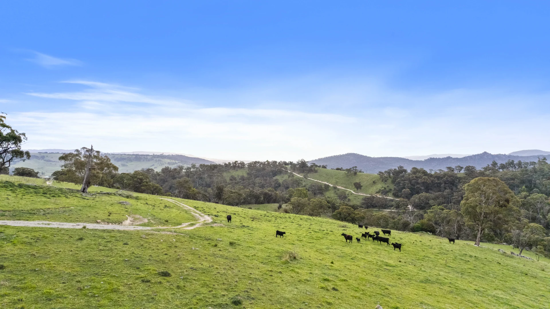 Additional image 29 of 191 Jerrys Meadow Road, Sodwalls NSW 2790