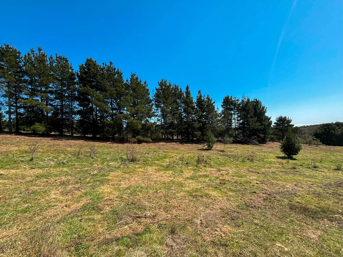 Additional image 5 of 25 Top Flat Lane, Wamboin NSW 2620