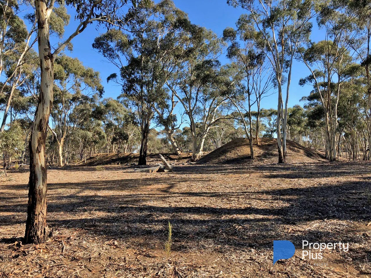 Additional image 10 of 1 Bendigo-Maryborough Road, Shelbourne VIC 3515