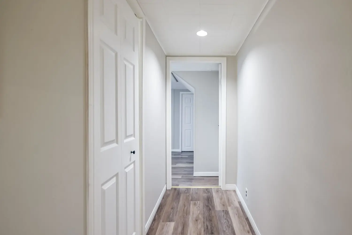 Additional image 9 of 318 Colborne Street