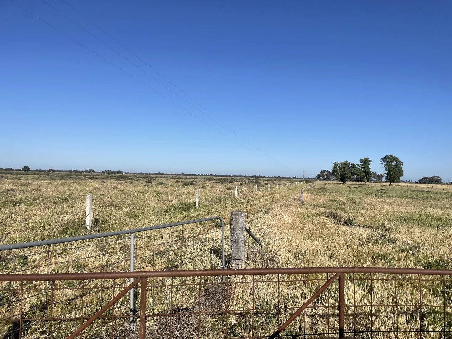 Additional image 21 of 'Yileen' 4371 Moulamein Road, Tullakool NSW 2732