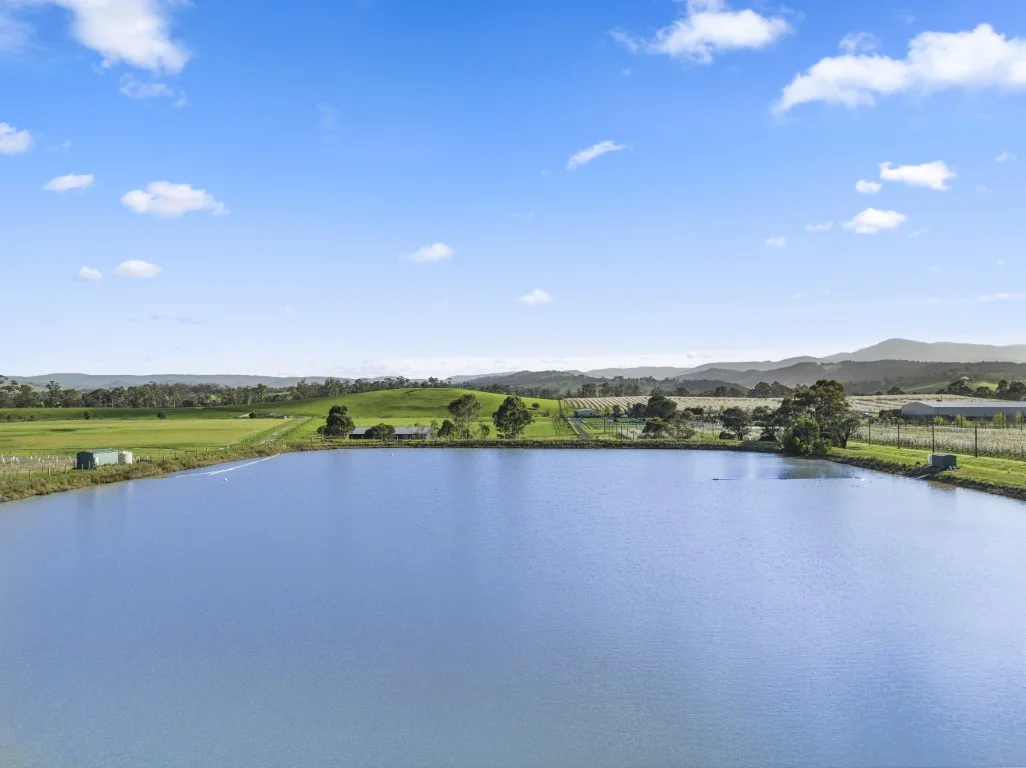 Additional image 9 of 737 Maroondah Highway, Coldstream VIC 3770