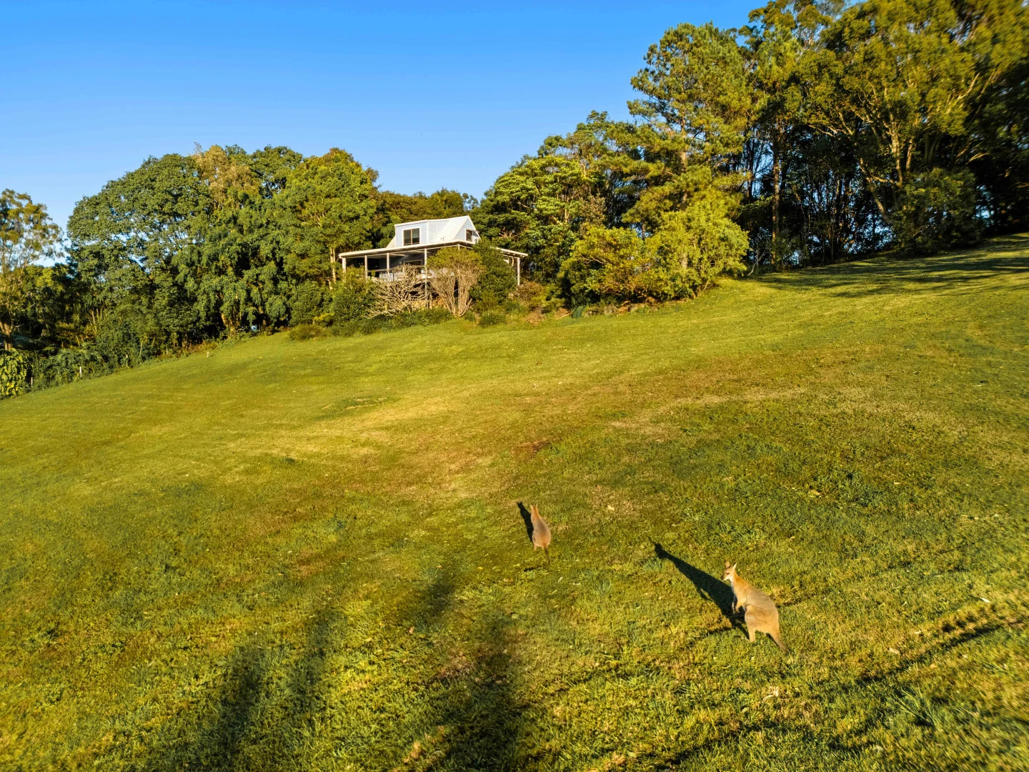 Additional image 22 of 45 Picadilly Hill Road, Coopers Shoot NSW 2479