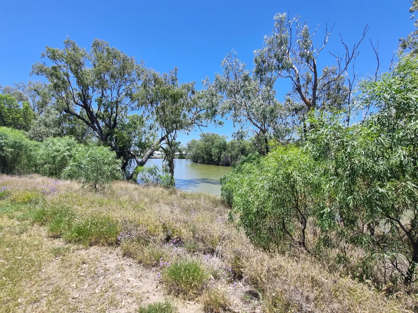 Additional image 7 of Water Park Estate, Goondiwindi QLD 4390