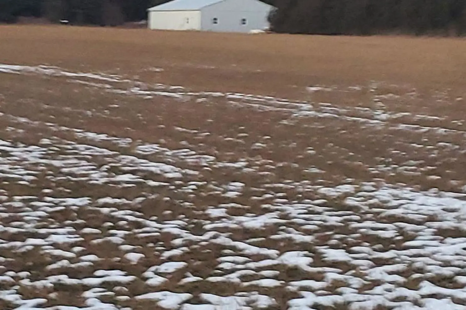 Additional image 5 of 0 Cole Road