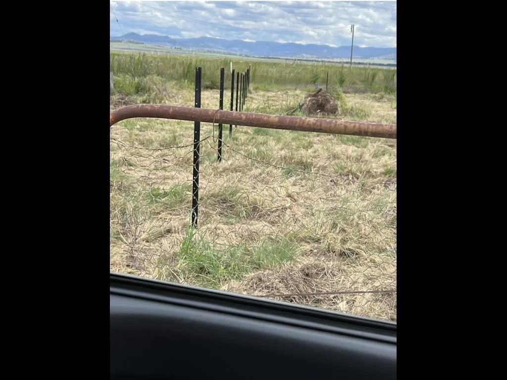 Additional image 14 of 9/7 Pezzutos Road, Colly Blue NSW 2343