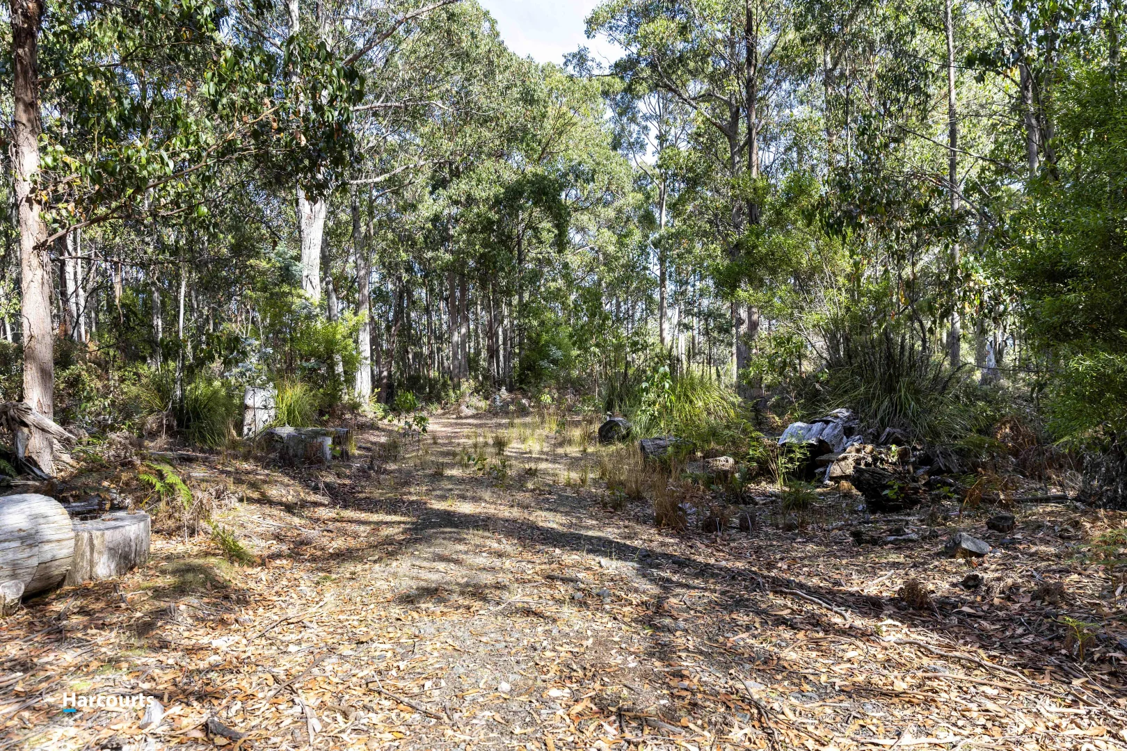 Additional image 38 of RA Basin Road, Grove TAS 7109