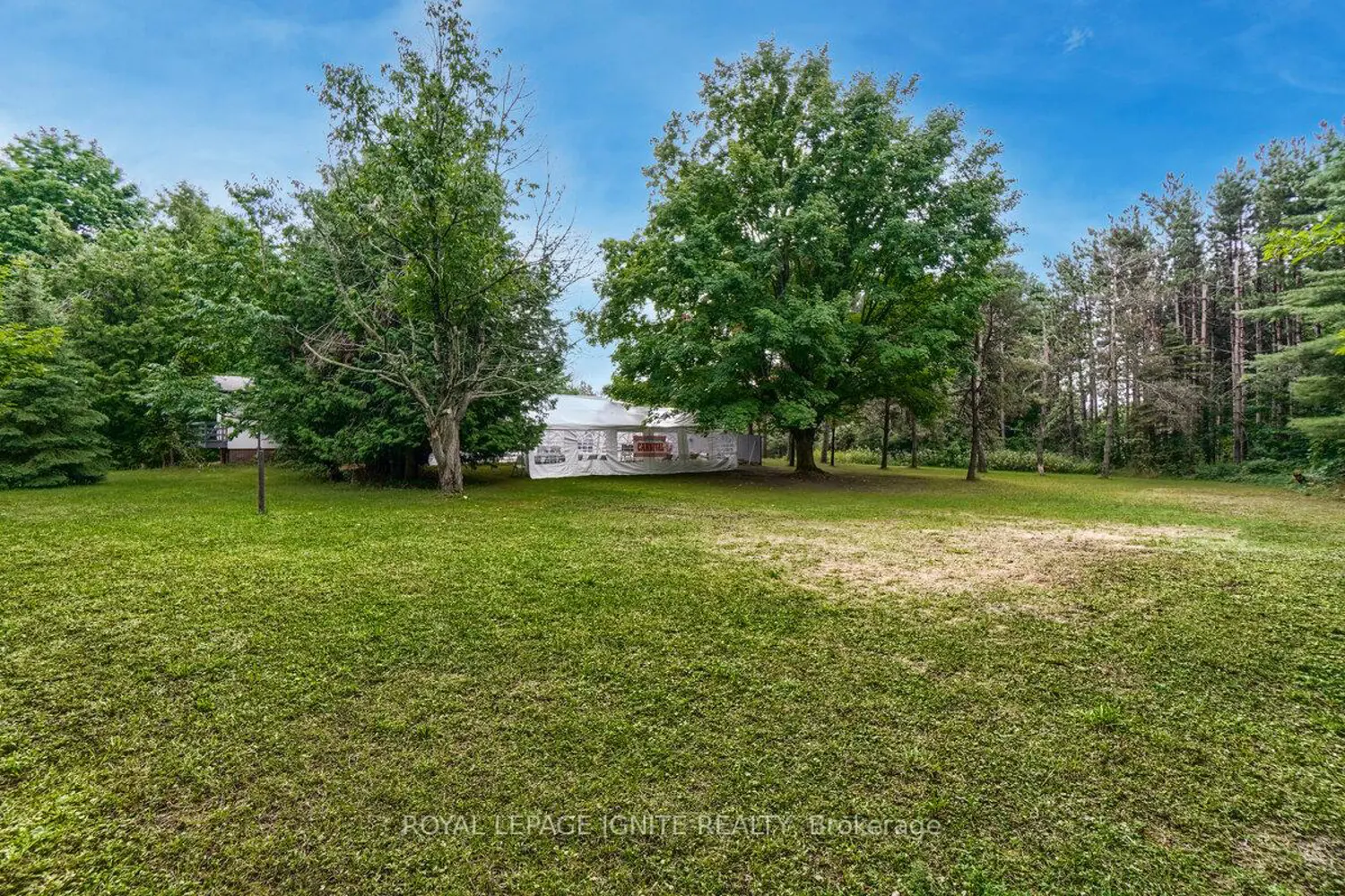 Additional image 20 of 5812 Beech Grove Side Road