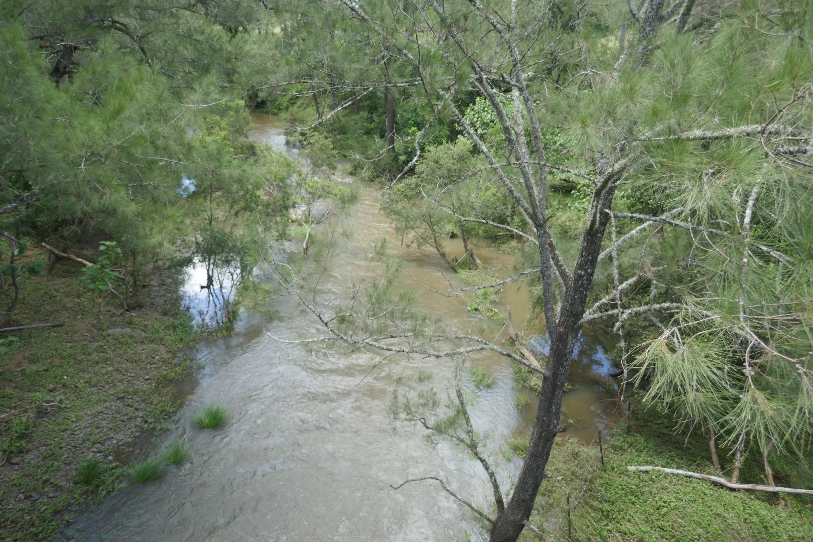 Additional image 14 of 1100 Iron Pot Creek & Ghinni Ghi Roads, Kyogle NSW 2474