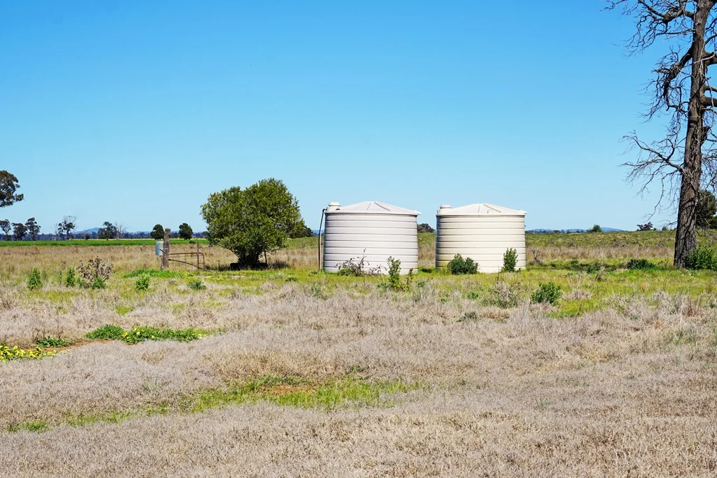 Additional image 10 of 594 Burrangong Lane, Bland NSW 2721