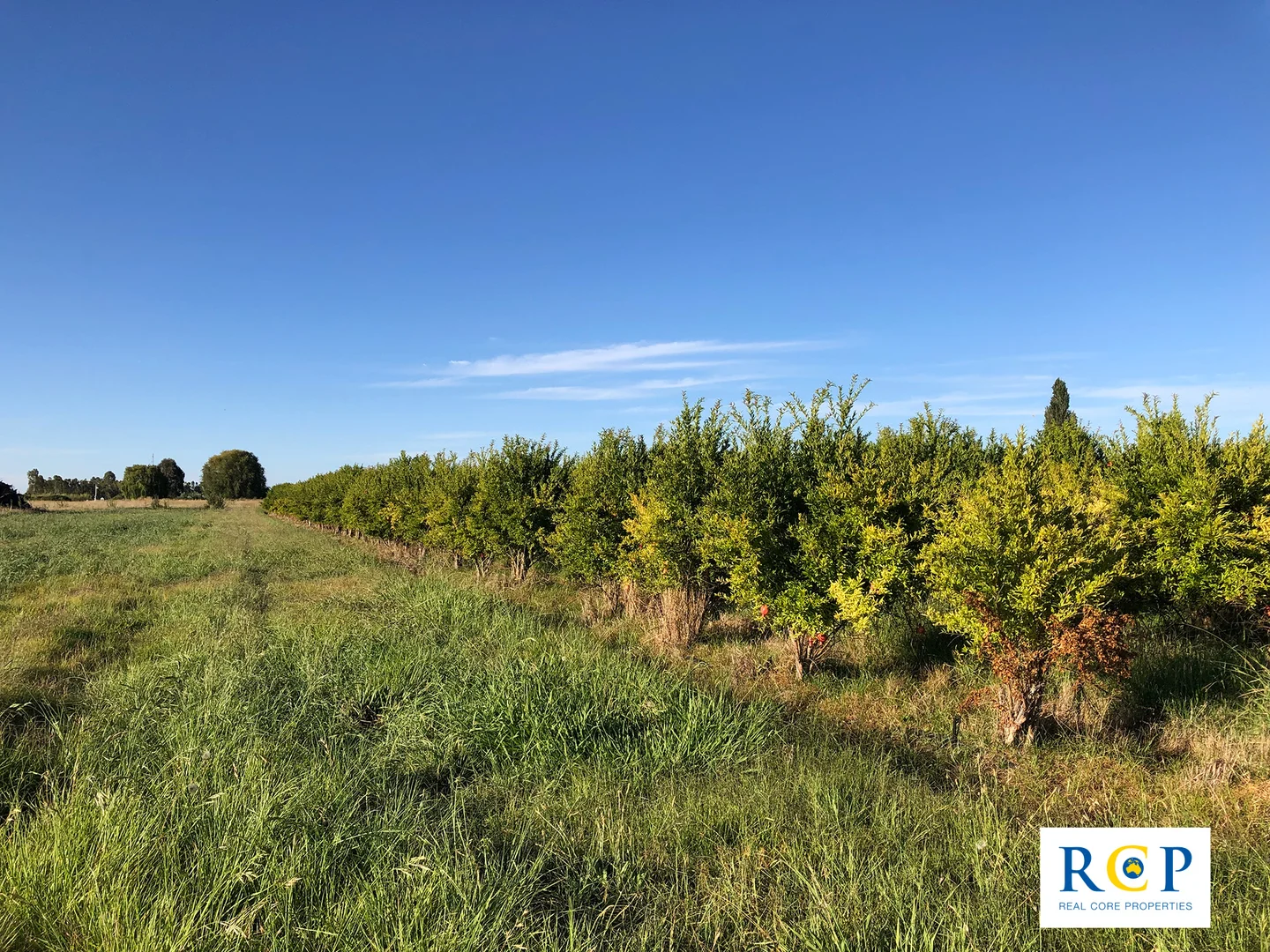 Additional image 6 of 275 Channel Road, Orrvale VIC 3631