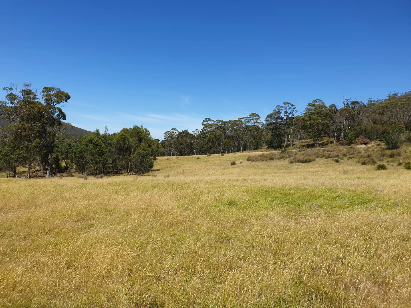 Additional image 4 of 2 - 15, Glenbrae Ris Lowes Road, Garden Island Creek TAS 7112