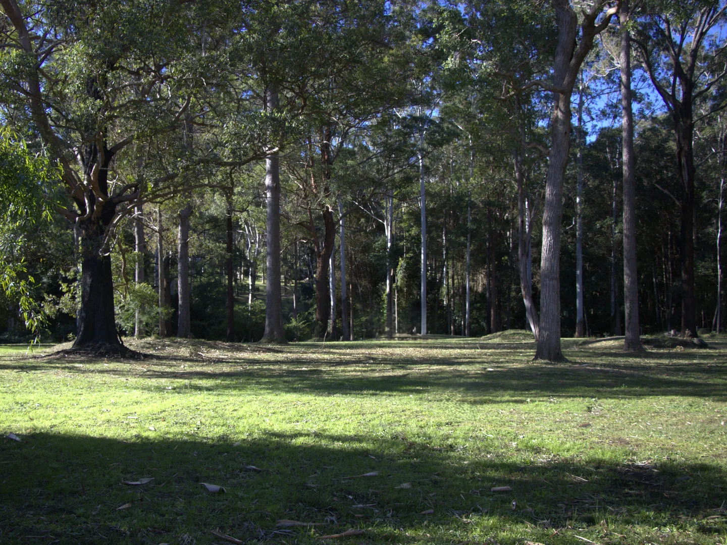 Additional image 19 of Aldavilla NSW 2440