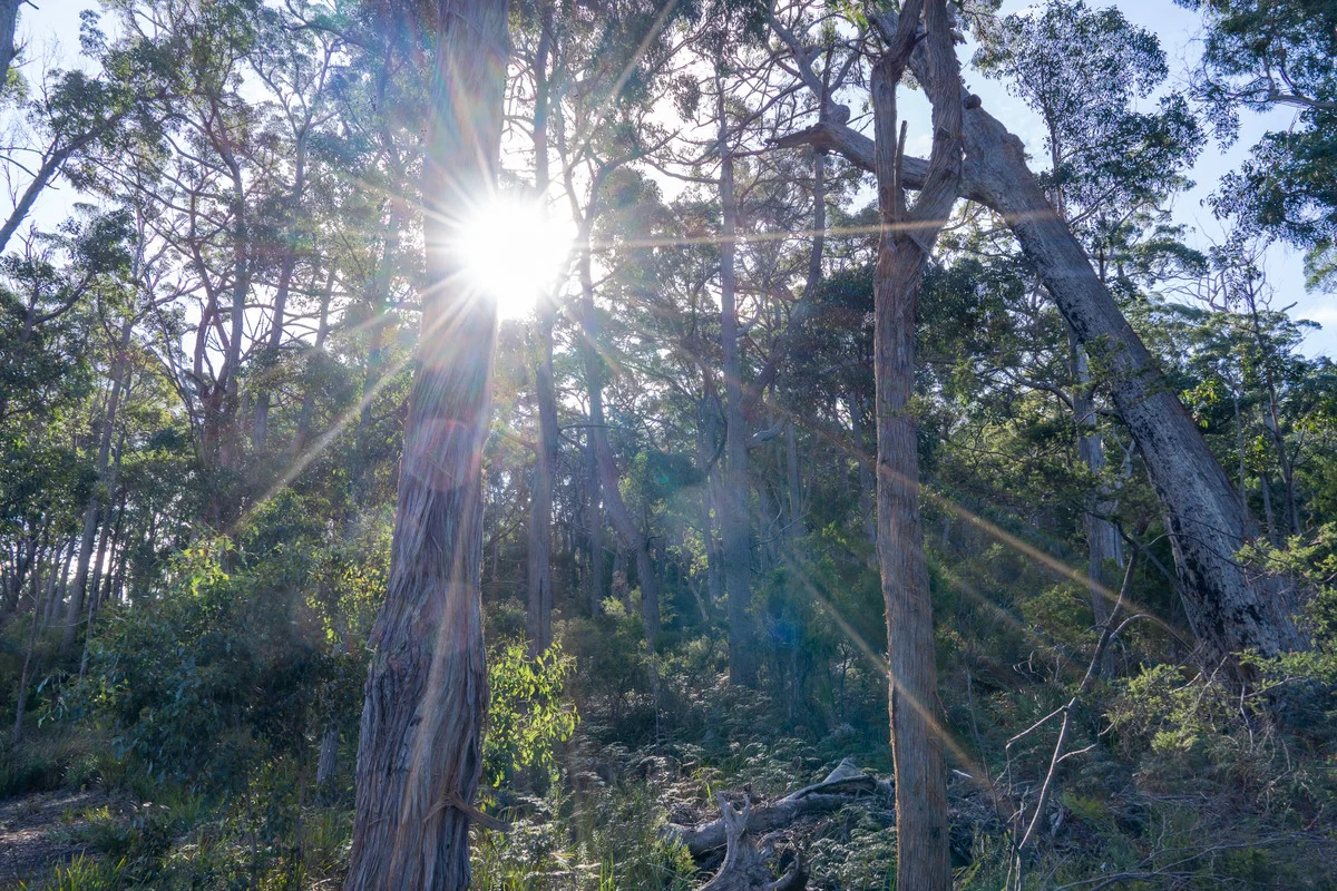 Additional image 7 of Lot 3 White Beach Road, White Beach TAS 7184