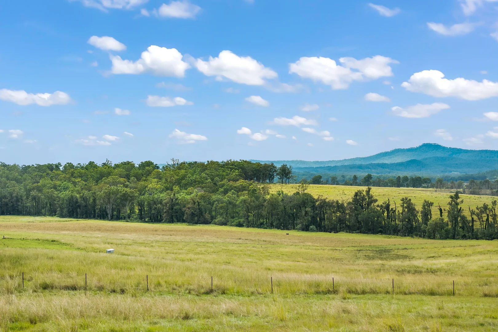 Additional image 12 of 771 Ewingar Road, Ewingar NSW 2469