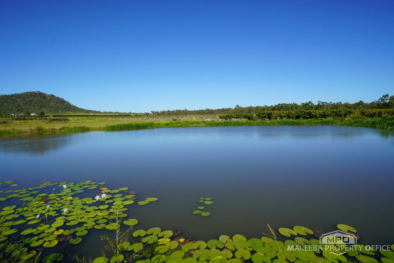 446 Chewko Road, Mareeba QLD 4880
