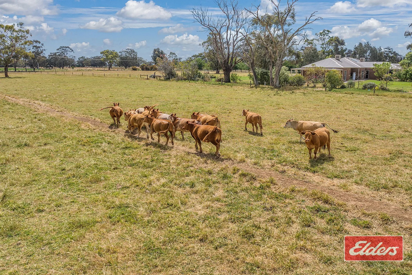 Additional image 27 of 615 Wharparilla Road, Echuca VIC 3564