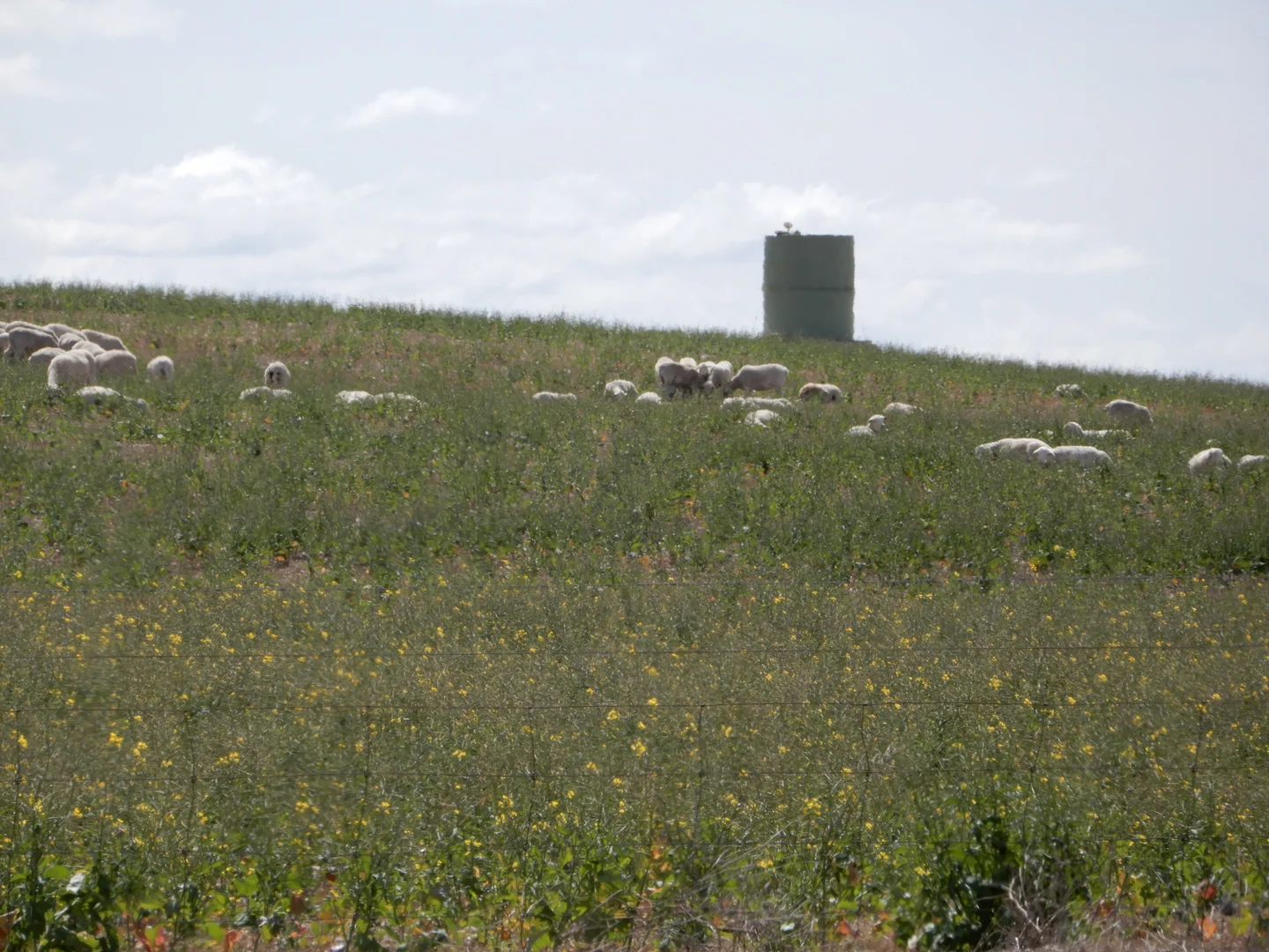 Additional image 3 of 477 Beelitz Road, Geranium SA 5301