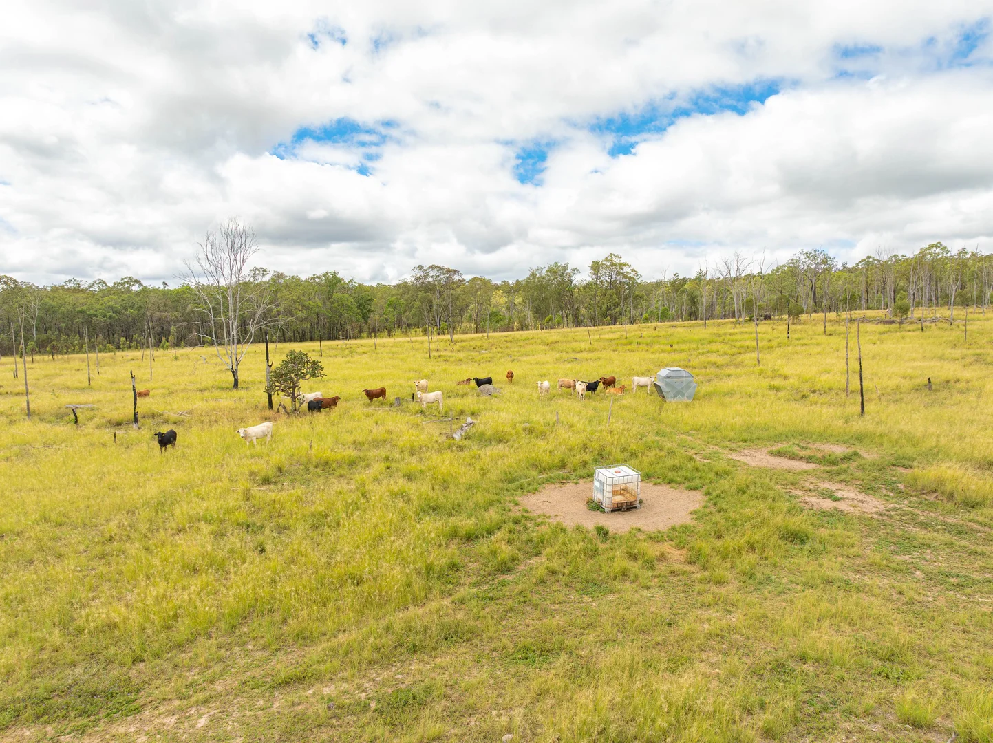 Additional image 27 of 754 Pedersens Road, Dangore QLD 4610