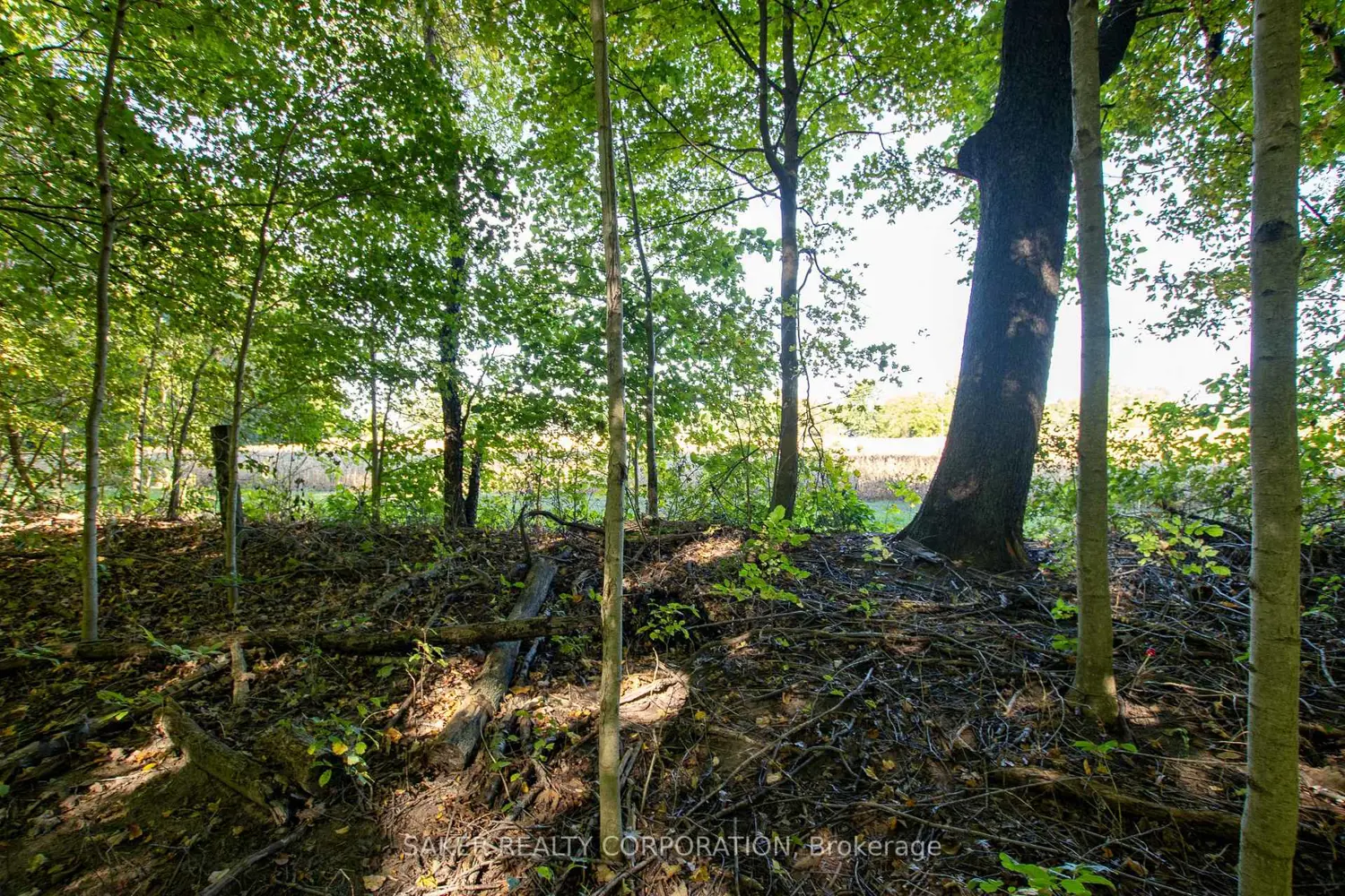 Additional image 8 of 22560 Troops Road